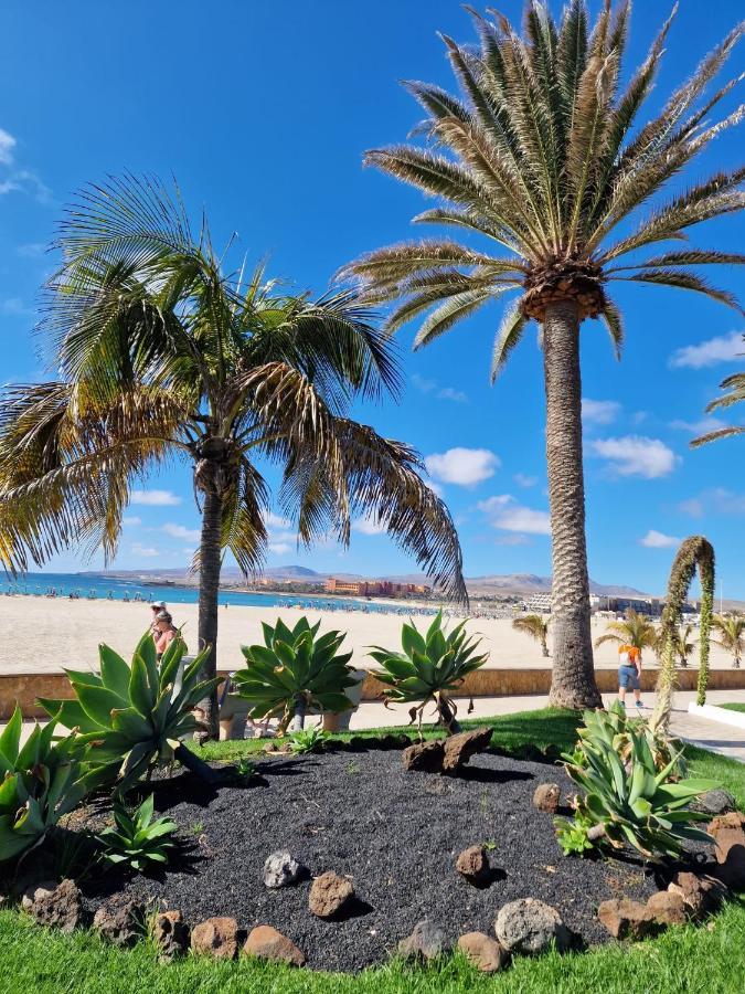 Apartament Caleta カレタ・デ・フステ エクステリア 写真